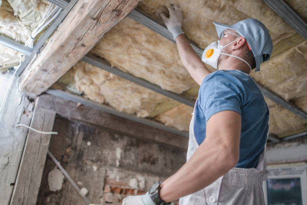 Best Insulation Installation Services in Lytle, TX